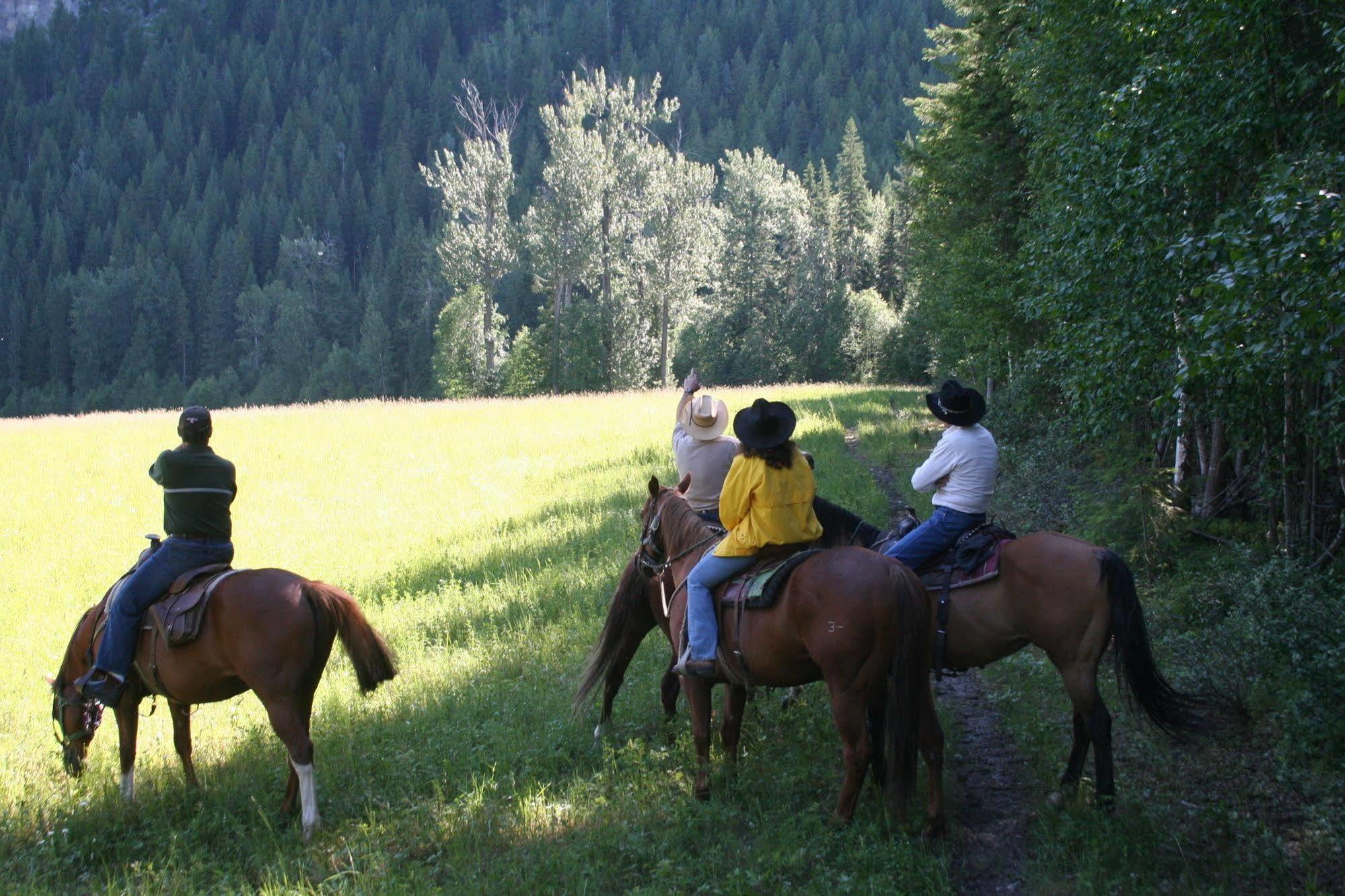 Vagabond Lodge At Kicking Horse Golden Buitenkant foto